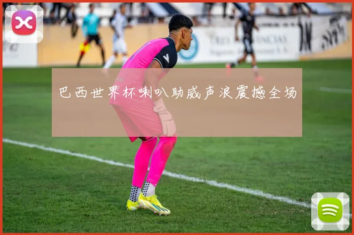 巴西世界杯喇叭助威声浪震撼全场