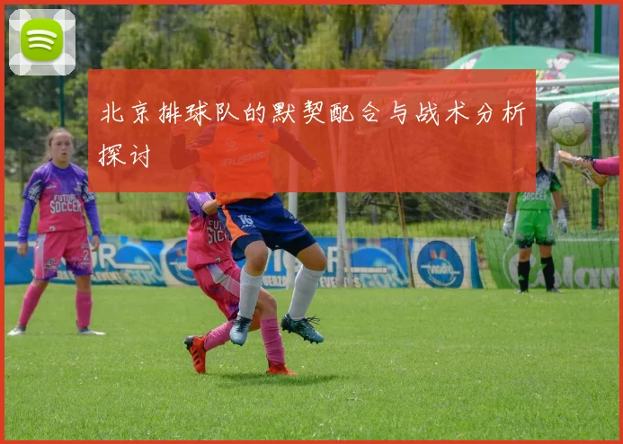 北京排球队的默契配合与战术分析探讨